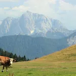 Dreilaenderblick, Sauna En Tafeltennis En 150 Meter Piste Holiday home Arnoldstein