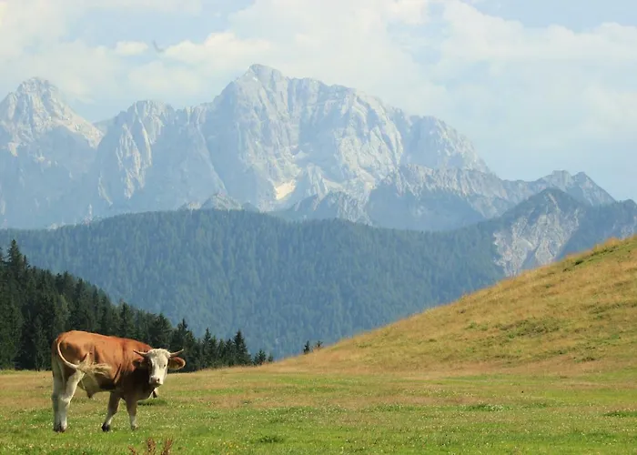 Dreilaenderblick, Sauna En Tafeltennis En 150 Meter Piste Сasa de vacaciones Arnoldstein