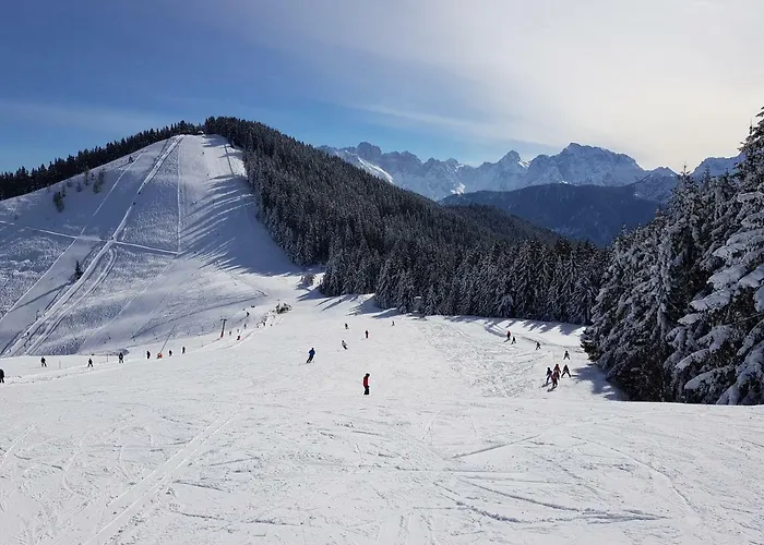 Dreilaenderblick, Sauna En Tafeltennis En 150 Meter Piste Holiday home